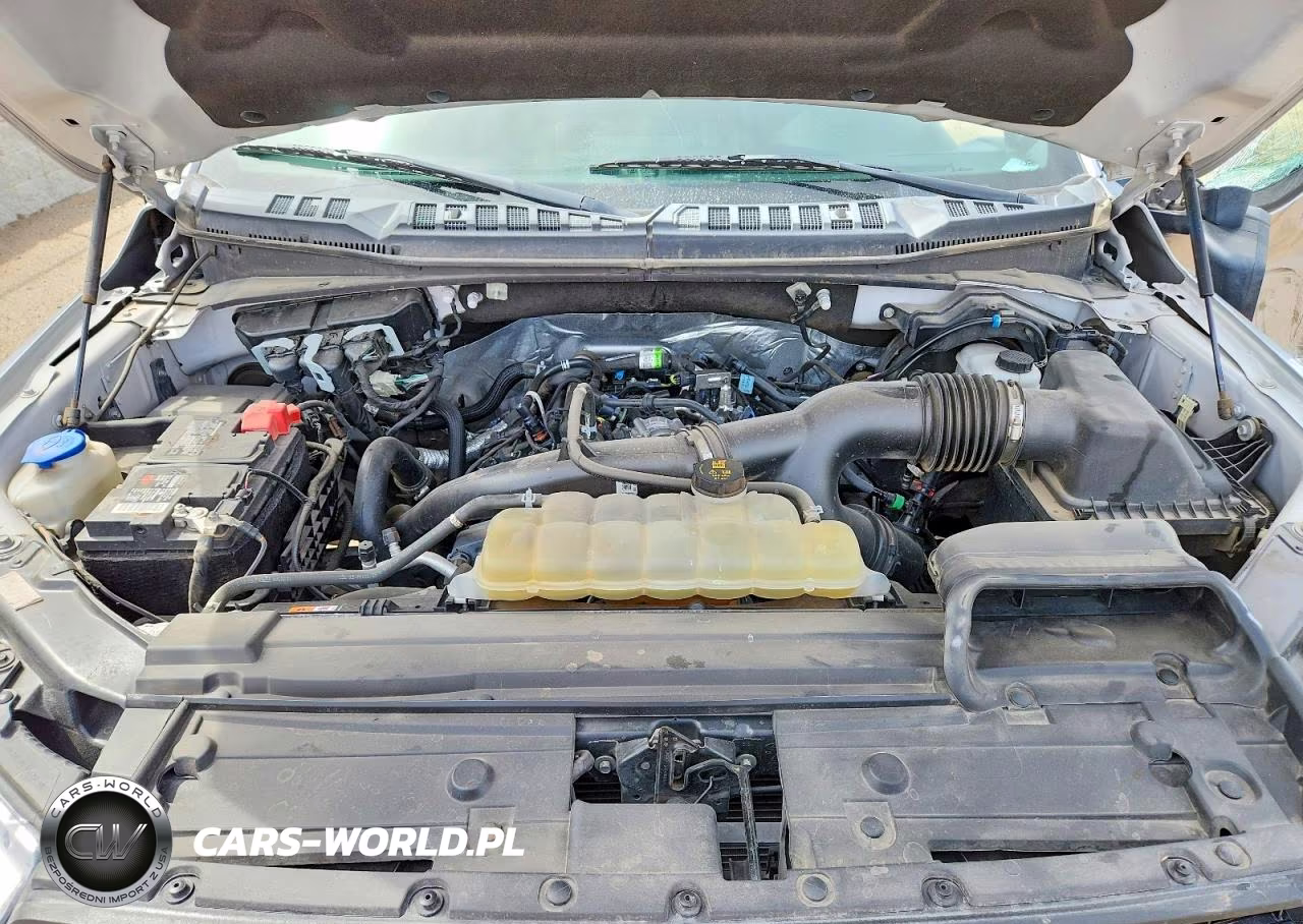 2020 Ford F150 Supercrew VIN:1FTEW1EPXLFB44558 - 11