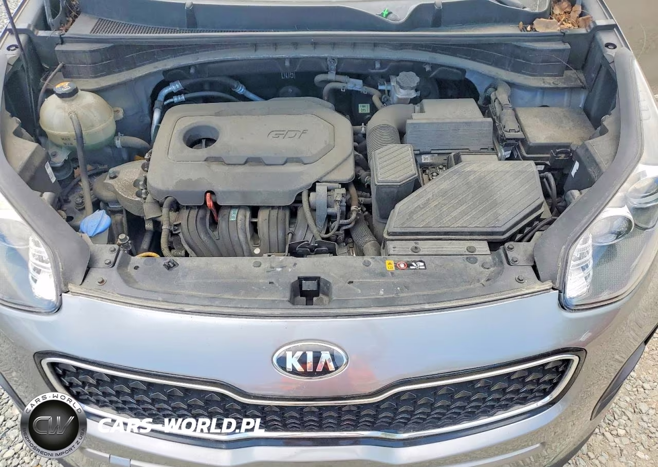 2019 Kia Sportage Lx VIN:KNDPM3AC8K7625656 - 12