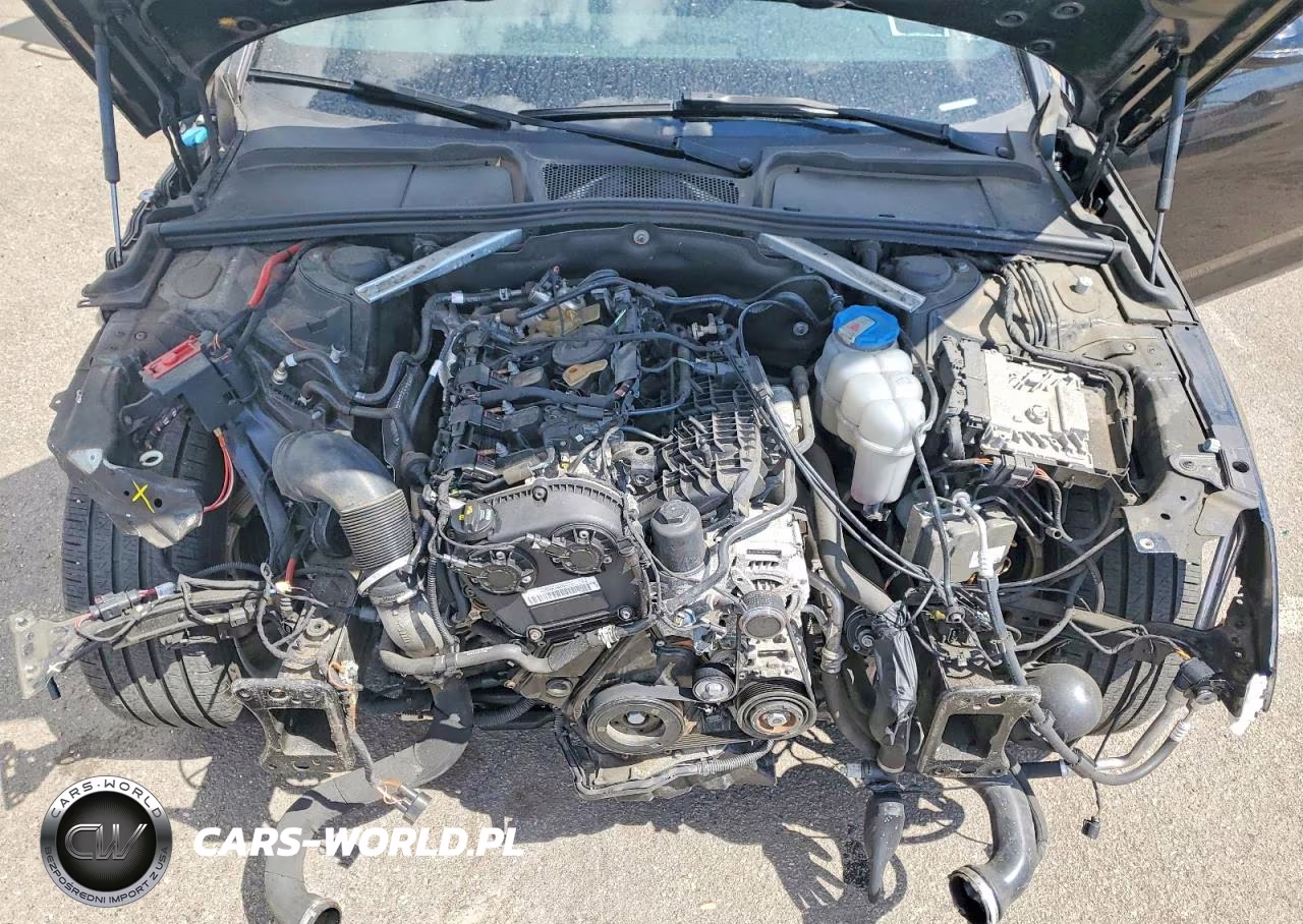 2019 Audi A4 Premium Plus VIN:WAUENAF4XKN005362 - 11
