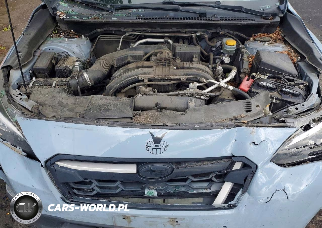 2019 Subaru Crosstrek Premium VIN:JF2GTACC1K8326042 - 11