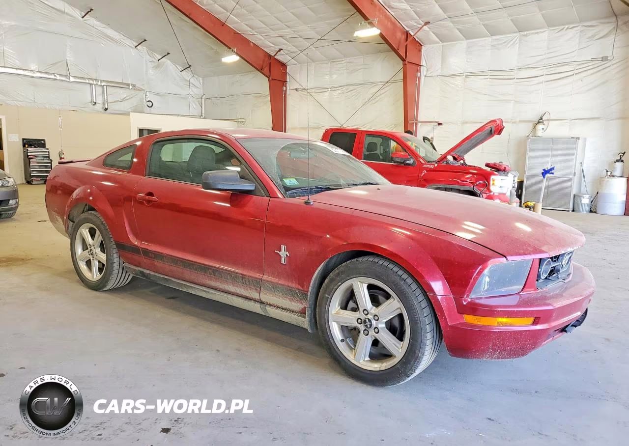 2008 Ford Mustang VIN:1ZVHT80N785132754 - 4