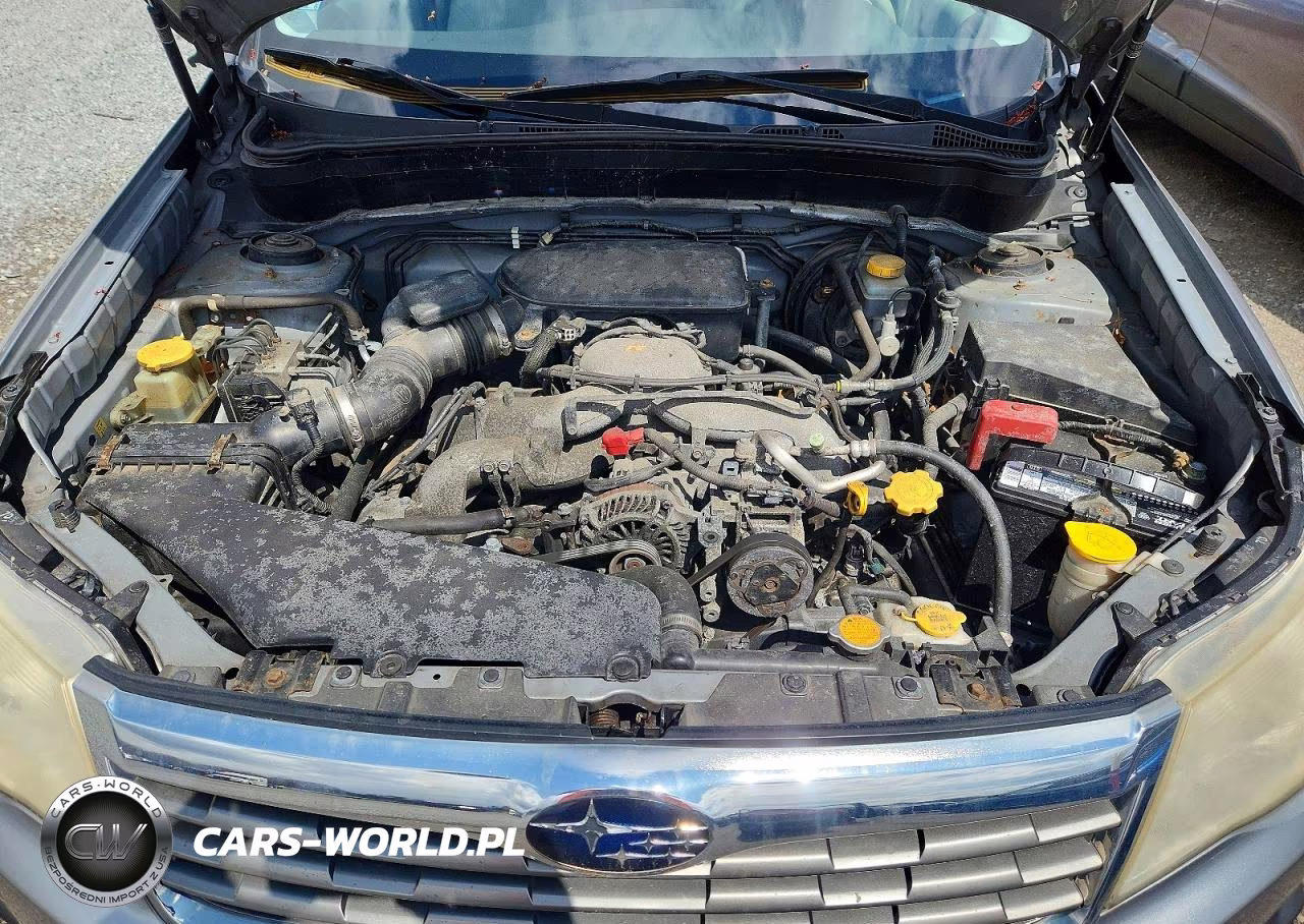 2010 Subaru Forester 2.5X Premium VIN:JF2SH6CC1AH732006 - 11