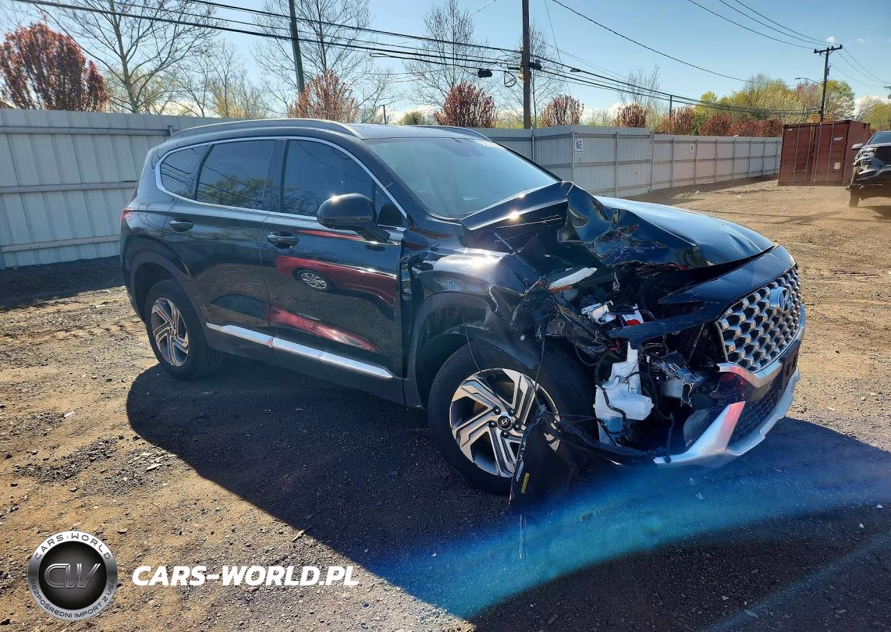 2022 Hyundai Santa Fe Sel VIN:5NMS2DAJ9NH410045 - 4
