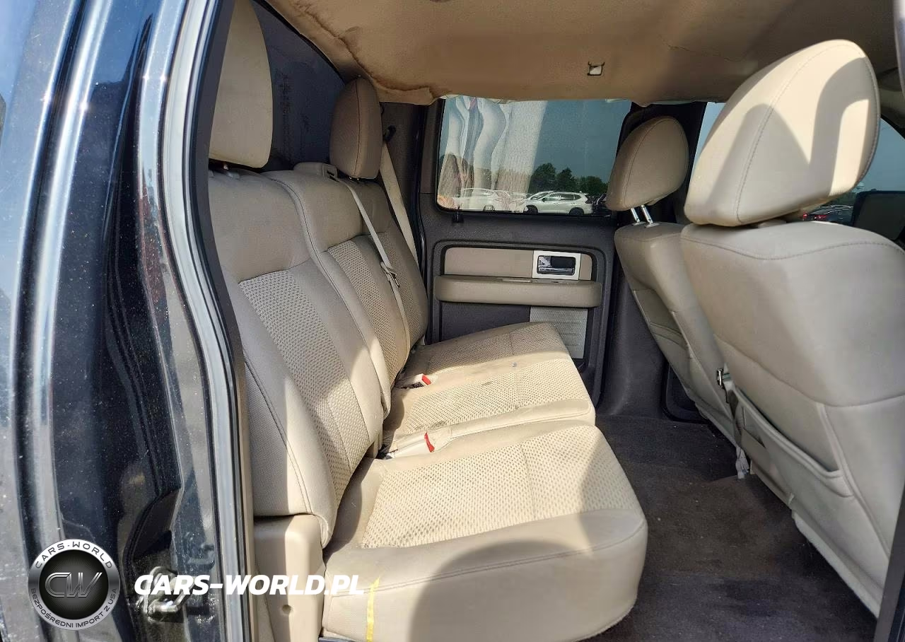 2010 Ford F150 Supercrew VIN:1FTFW1EV3AFD16557 - 10