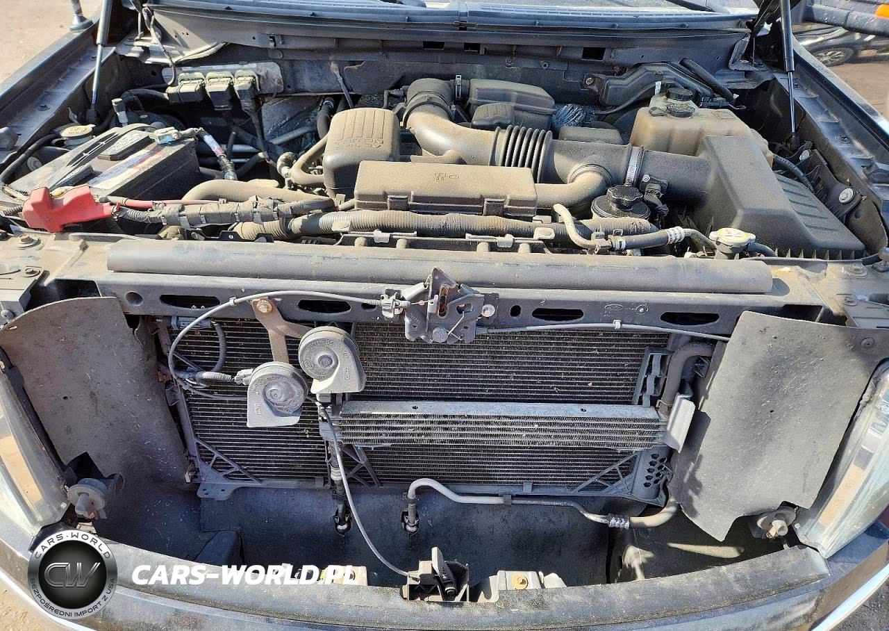 2010 Ford F150 Supercrew VIN:1FTFW1EV3AFD16557 - 11