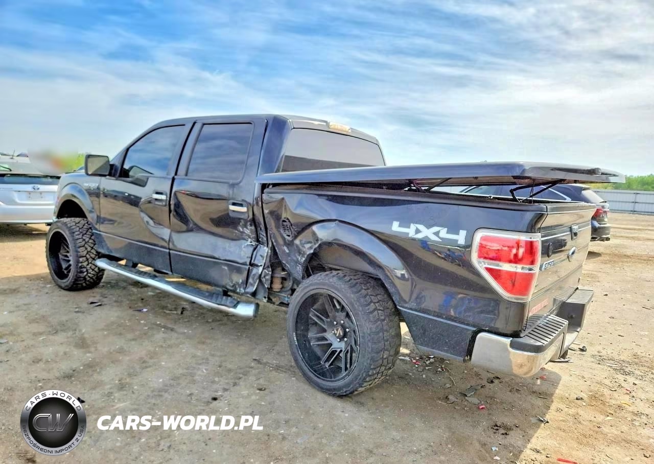 2010 Ford F150 Supercrew VIN:1FTFW1EV3AFD16557 - 2