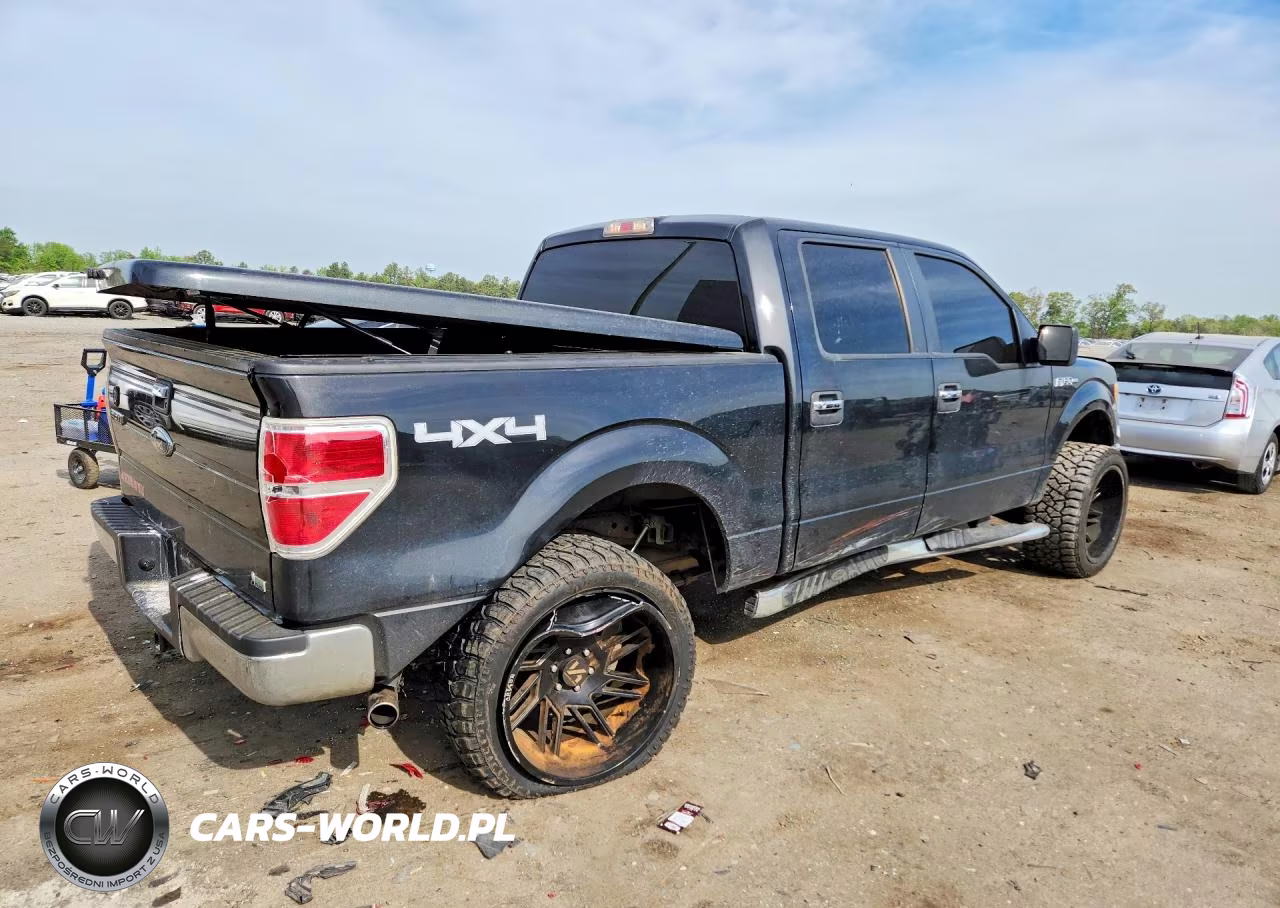 2010 Ford F150 Supercrew VIN:1FTFW1EV3AFD16557 - 3