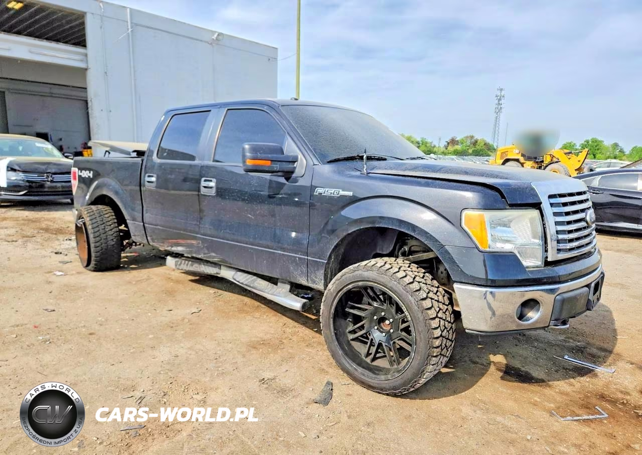 2010 Ford F150 Supercrew VIN:1FTFW1EV3AFD16557 - 4