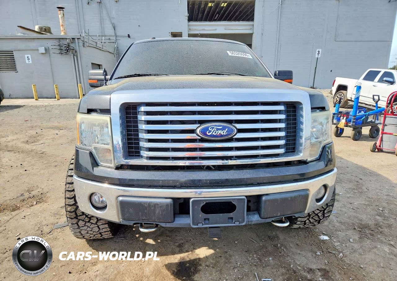 2010 Ford F150 Supercrew VIN:1FTFW1EV3AFD16557 - 5