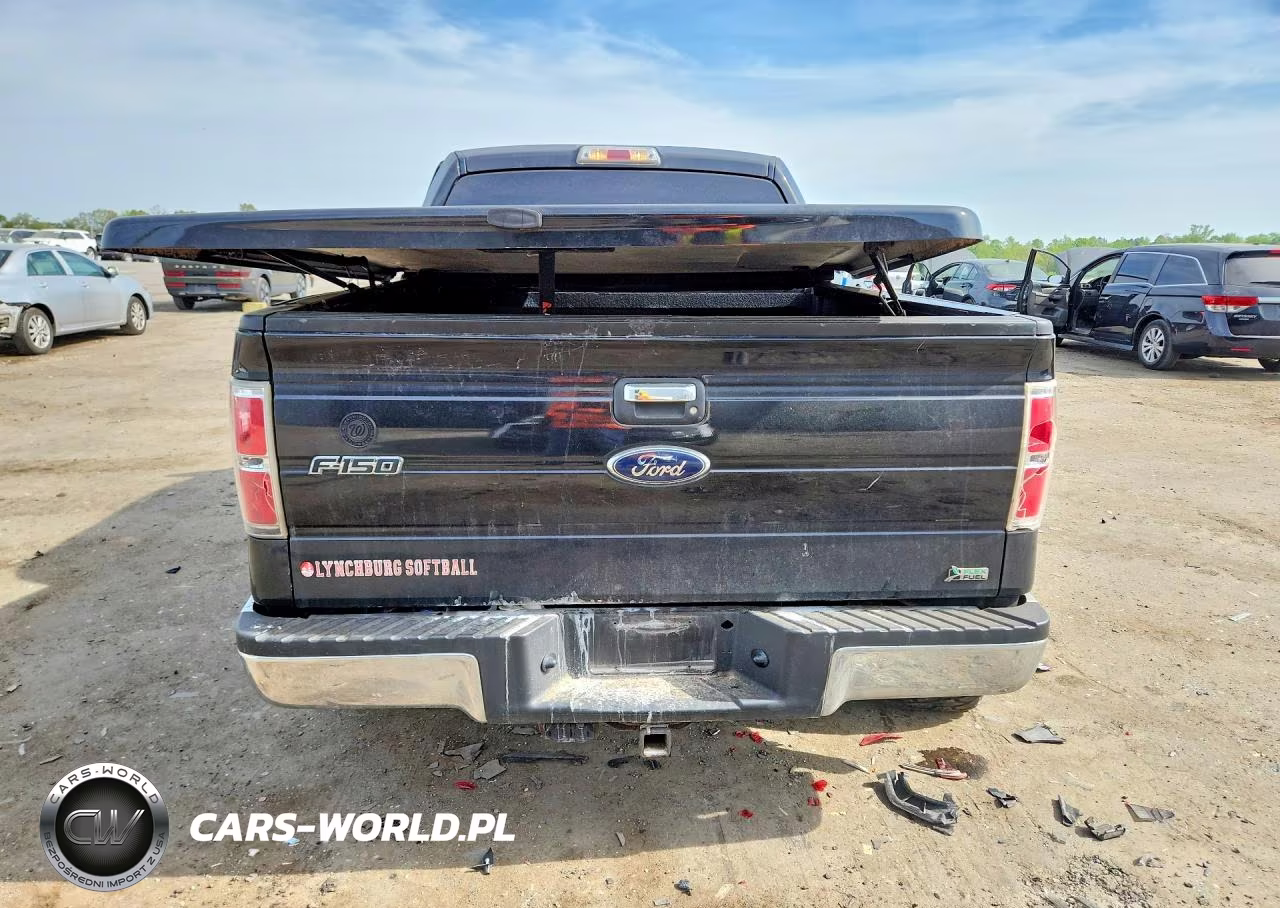 2010 Ford F150 Supercrew VIN:1FTFW1EV3AFD16557 - 6