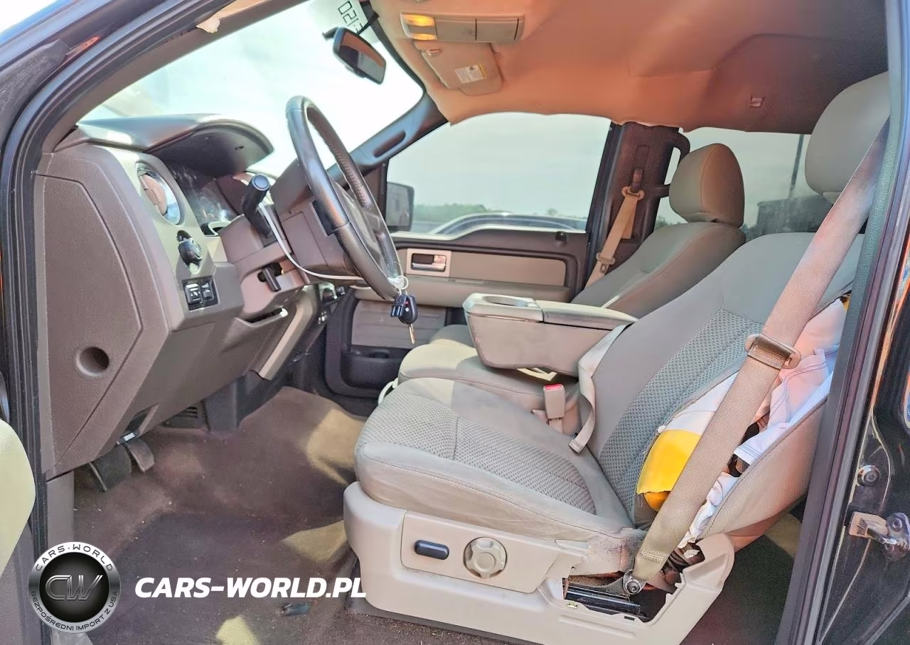 2010 Ford F150 Supercrew VIN:1FTFW1EV3AFD16557 - 7