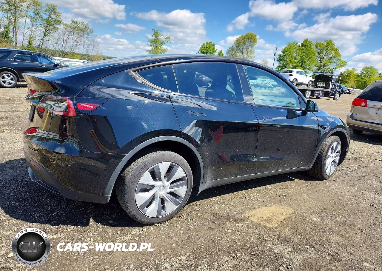 2023 Tesla Model Y VIN:7SAYGDEE2PA170737 - 3
