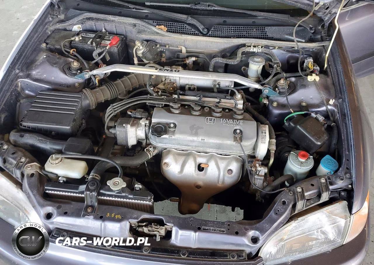 1995 Honda Civic Lx VIN:JHMEG8654SS041465 - 11