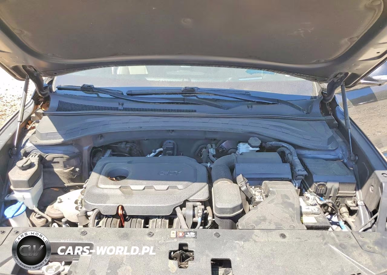 2020 Hyundai Santa Fe Limited VIN:5NMS5CAD6LH251672 - 11