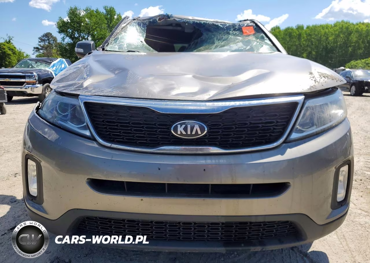 2014 Kia Sorento Lx VIN:5XYKTDA61EG466421 - 5