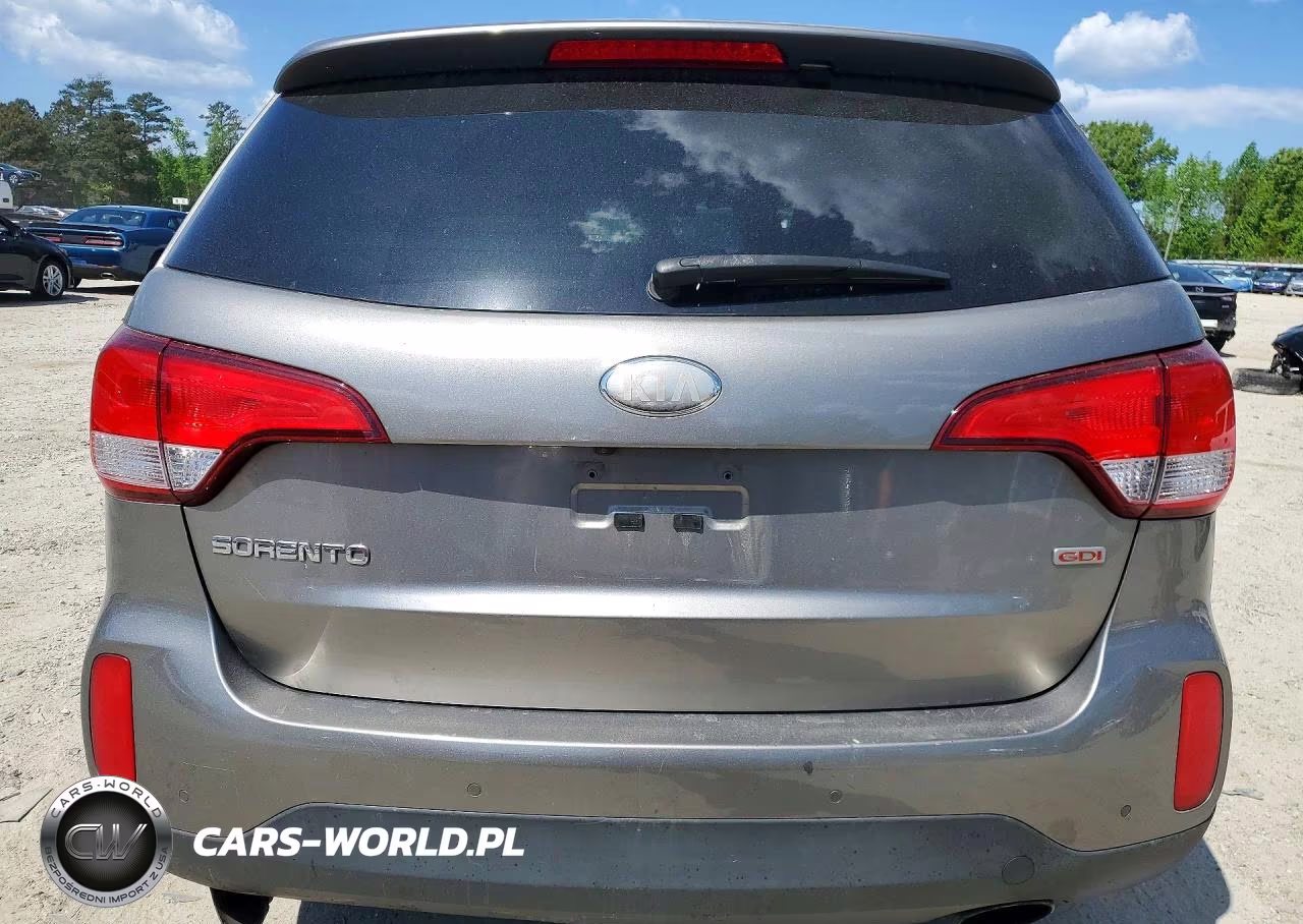 2014 Kia Sorento Lx VIN:5XYKTDA61EG466421 - 6