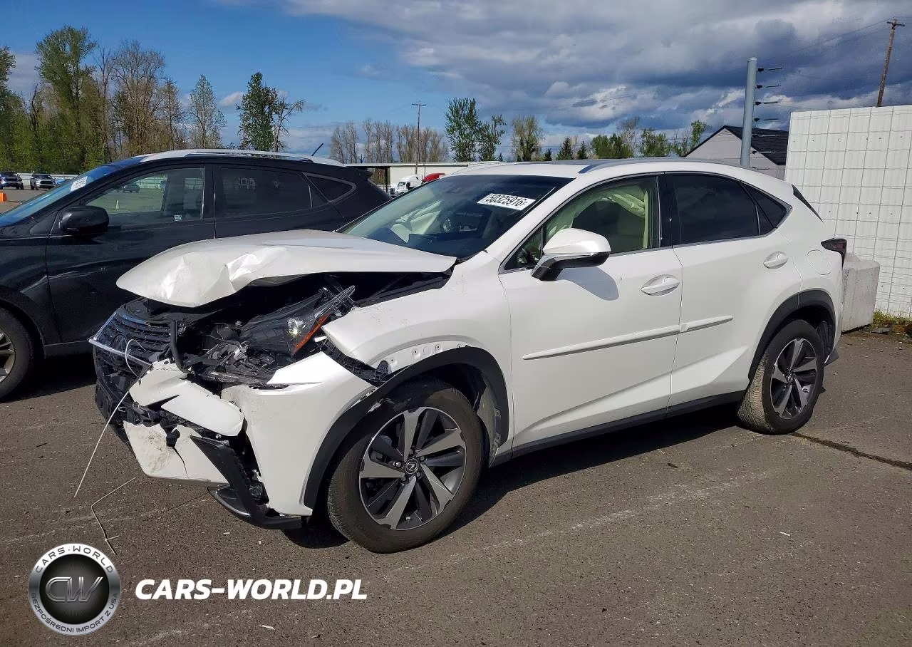 2019 Lexus Nx 300 Base