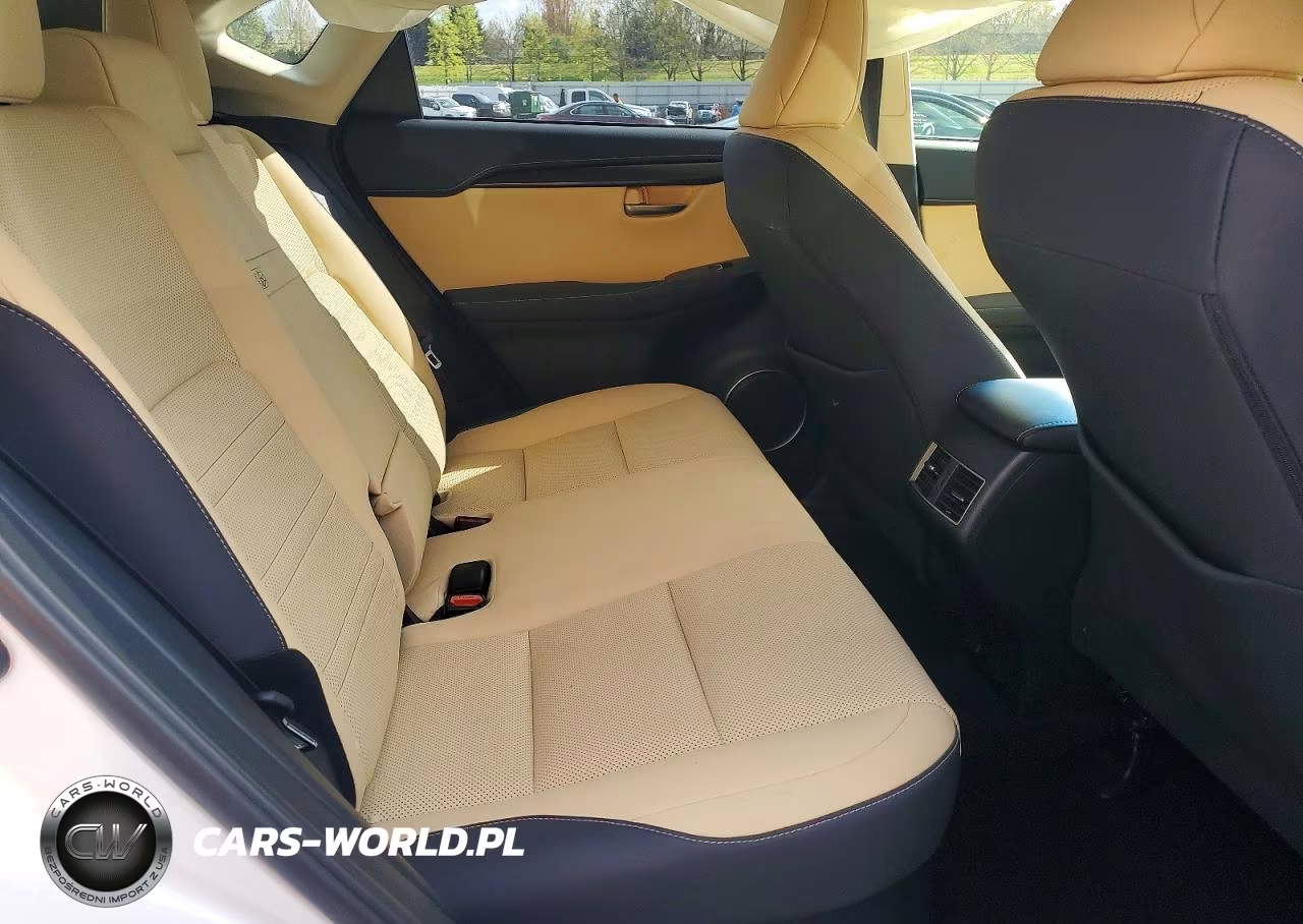 2019 Lexus Nx 300 Base VIN:JTJBARBZ6K2215246 - 10
