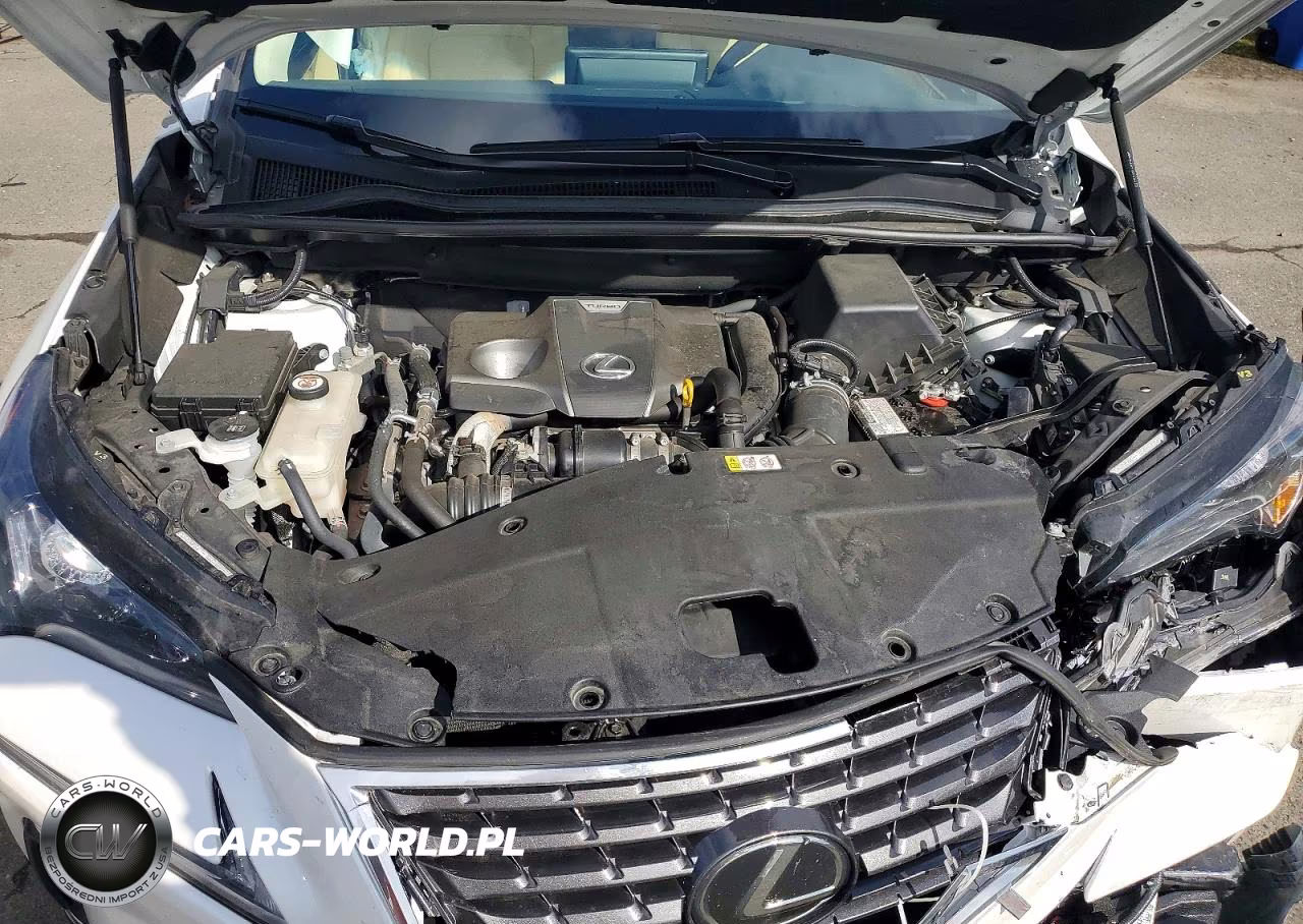 2019 Lexus Nx 300 Base VIN:JTJBARBZ6K2215246 - 11