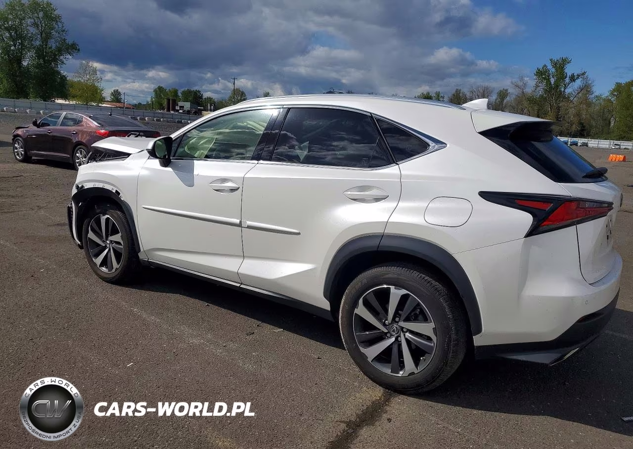 2019 Lexus Nx 300 Base VIN:JTJBARBZ6K2215246 - 2