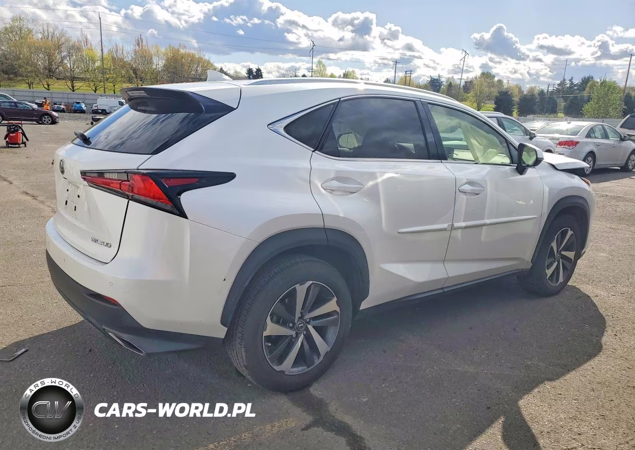 2019 Lexus Nx 300 Base VIN:JTJBARBZ6K2215246 - 3