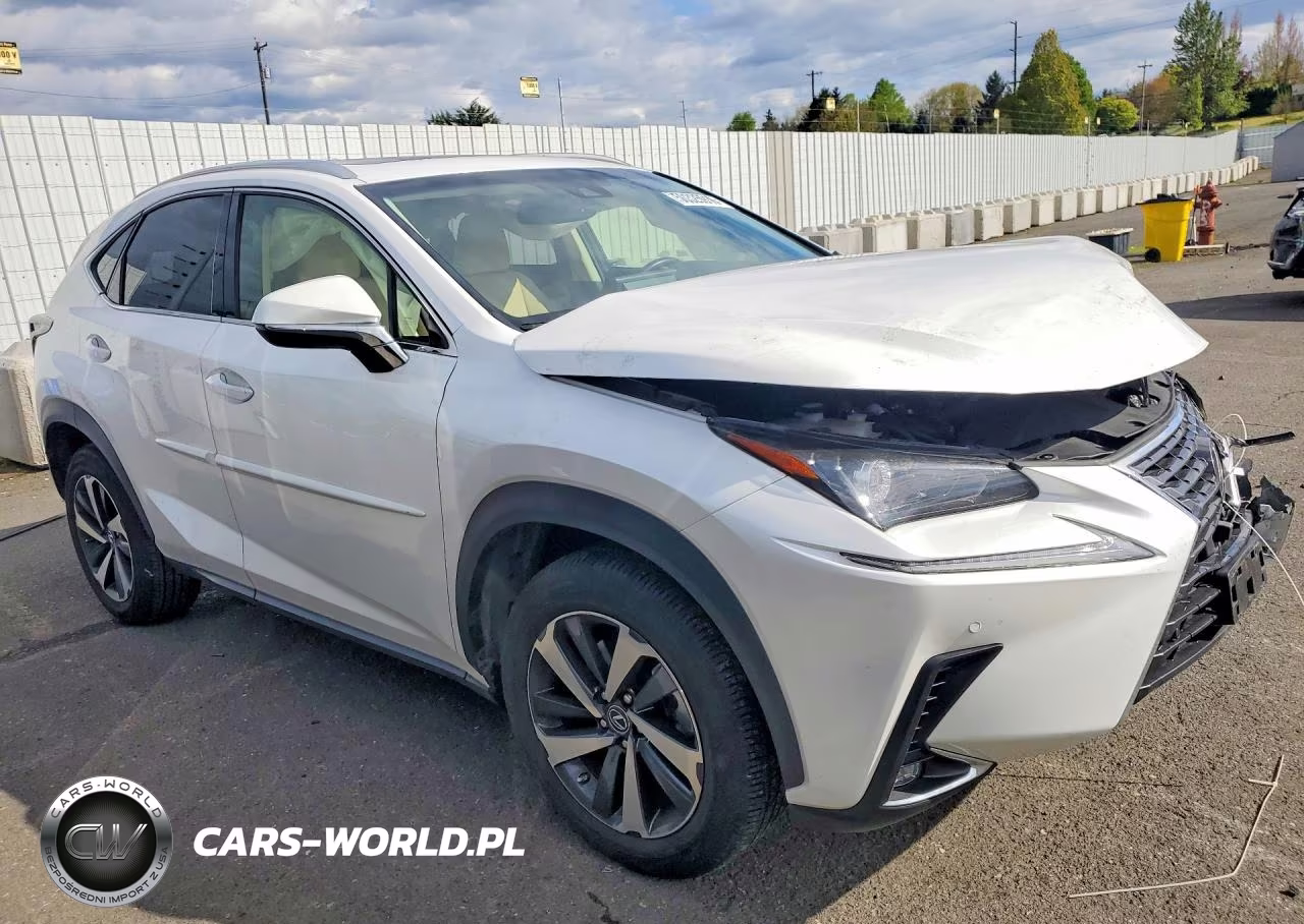 2019 Lexus Nx 300 Base VIN:JTJBARBZ6K2215246 - 4