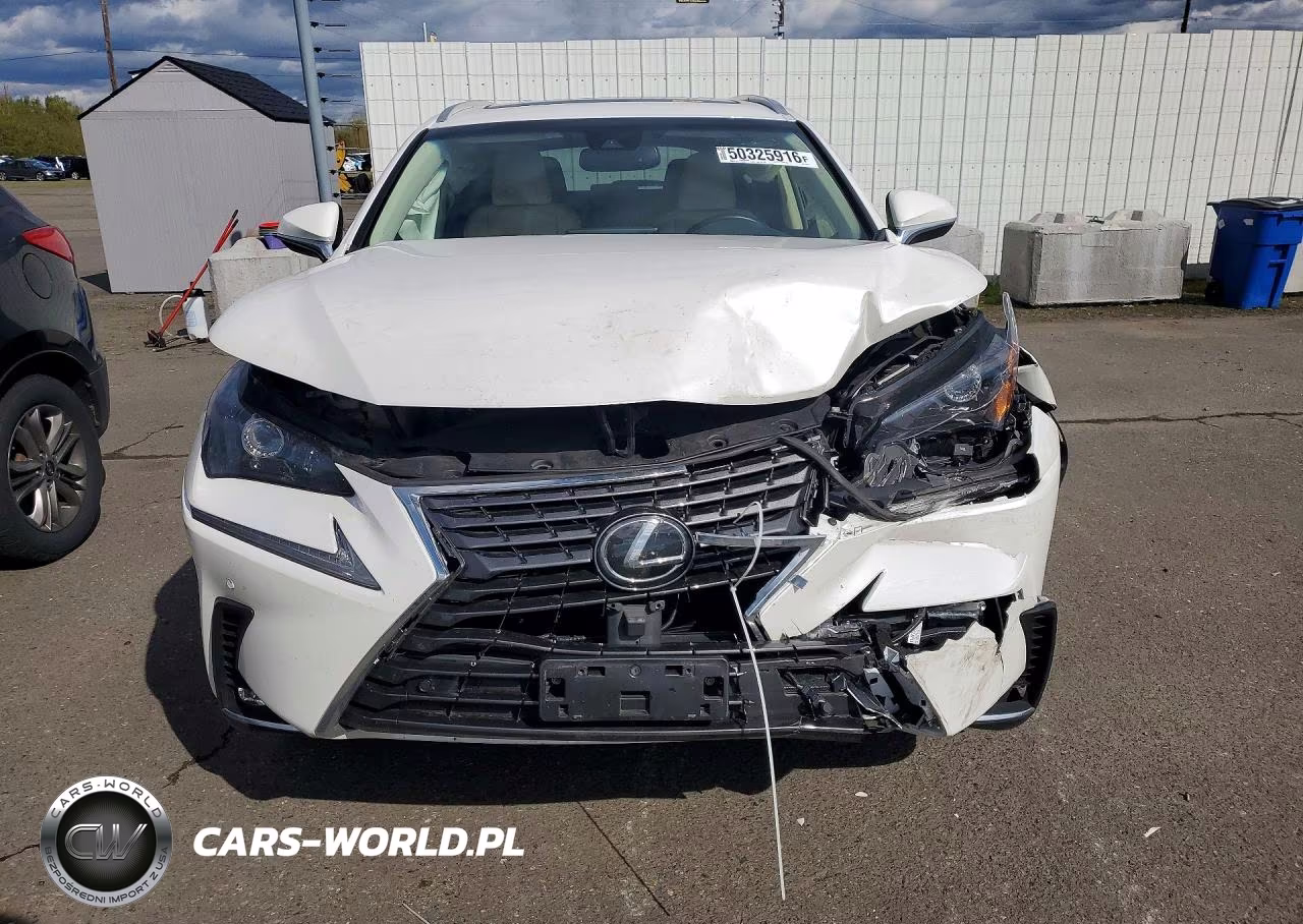 2019 Lexus Nx 300 Base VIN:JTJBARBZ6K2215246 - 5