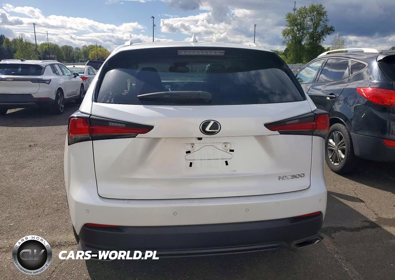 2019 Lexus Nx 300 Base VIN:JTJBARBZ6K2215246 - 6