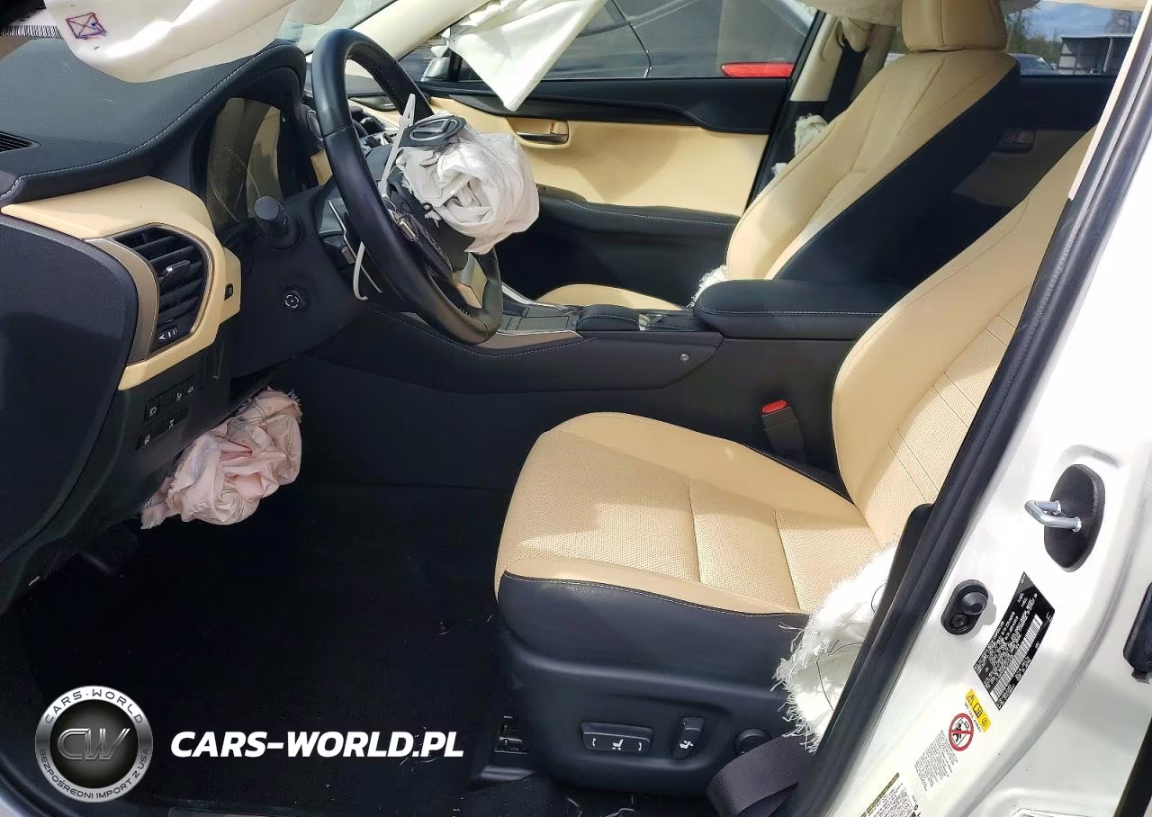 2019 Lexus Nx 300 Base VIN:JTJBARBZ6K2215246 - 7