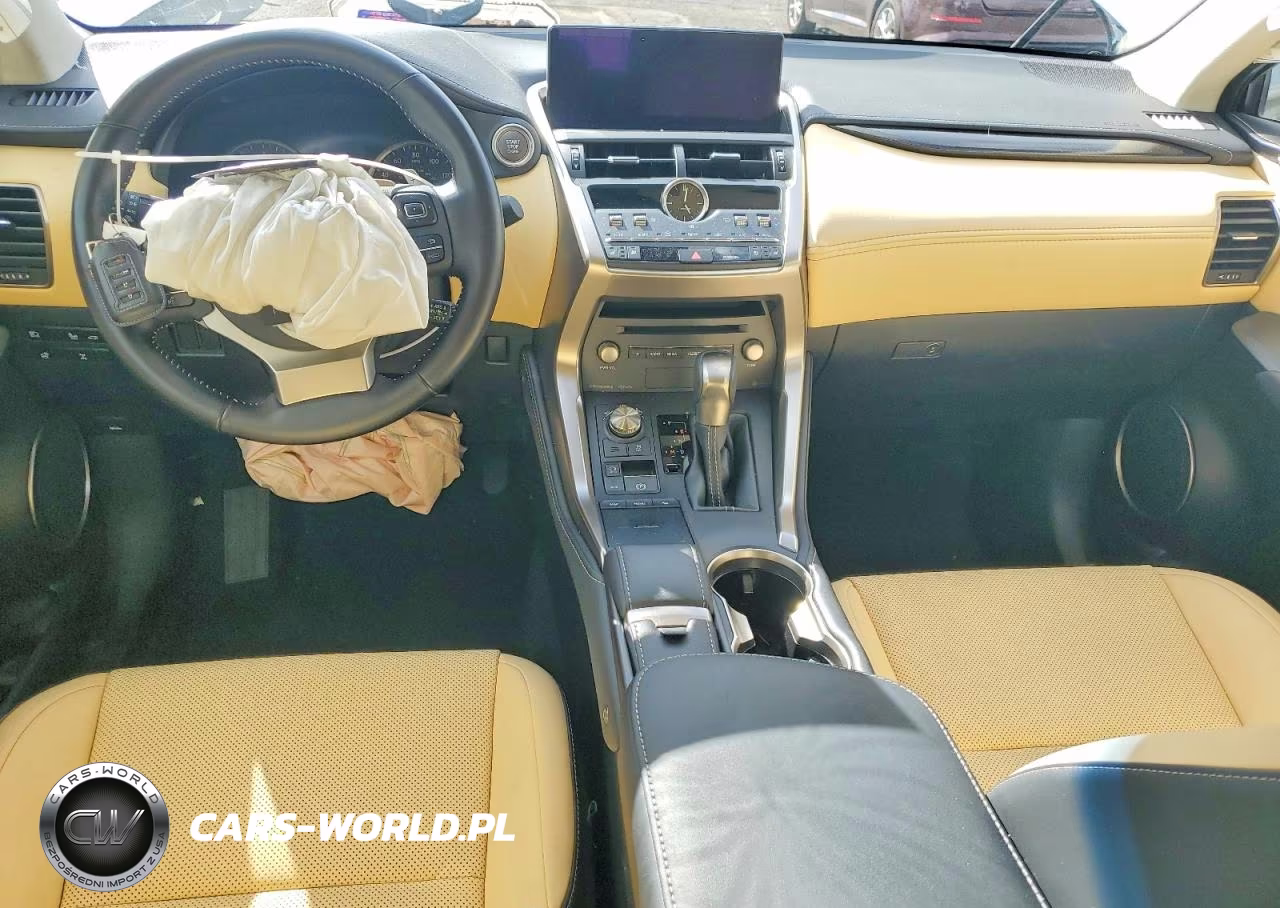 2019 Lexus Nx 300 Base VIN:JTJBARBZ6K2215246 - 8