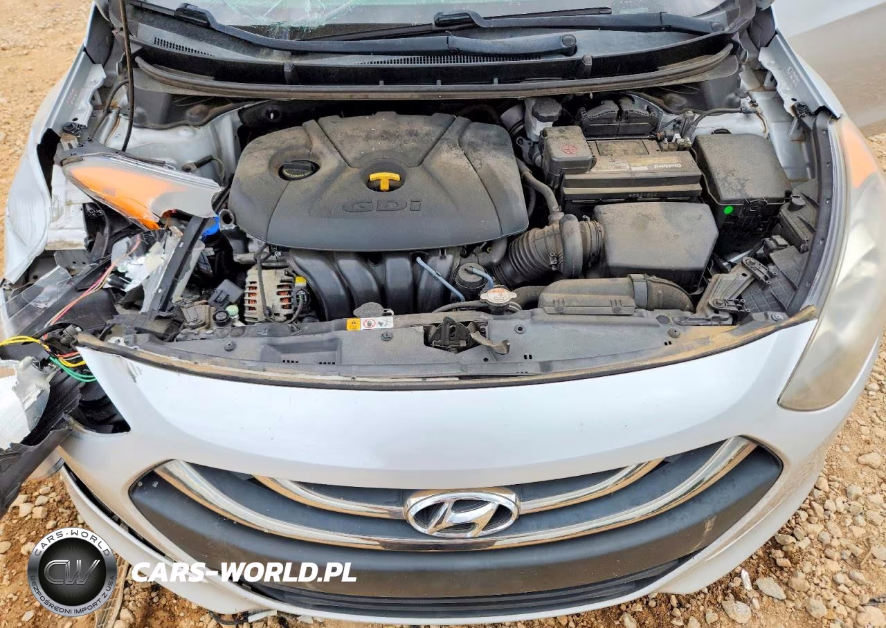 2014 Hyundai Elantra Gt Base VIN:KMHD35LH7EU229584 - 12
