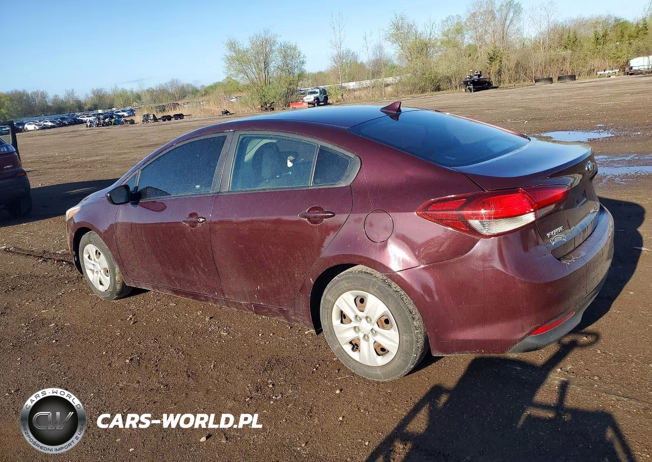 2017 Kia Forte Lx VIN:3KPFK4A76HE050220 - 2