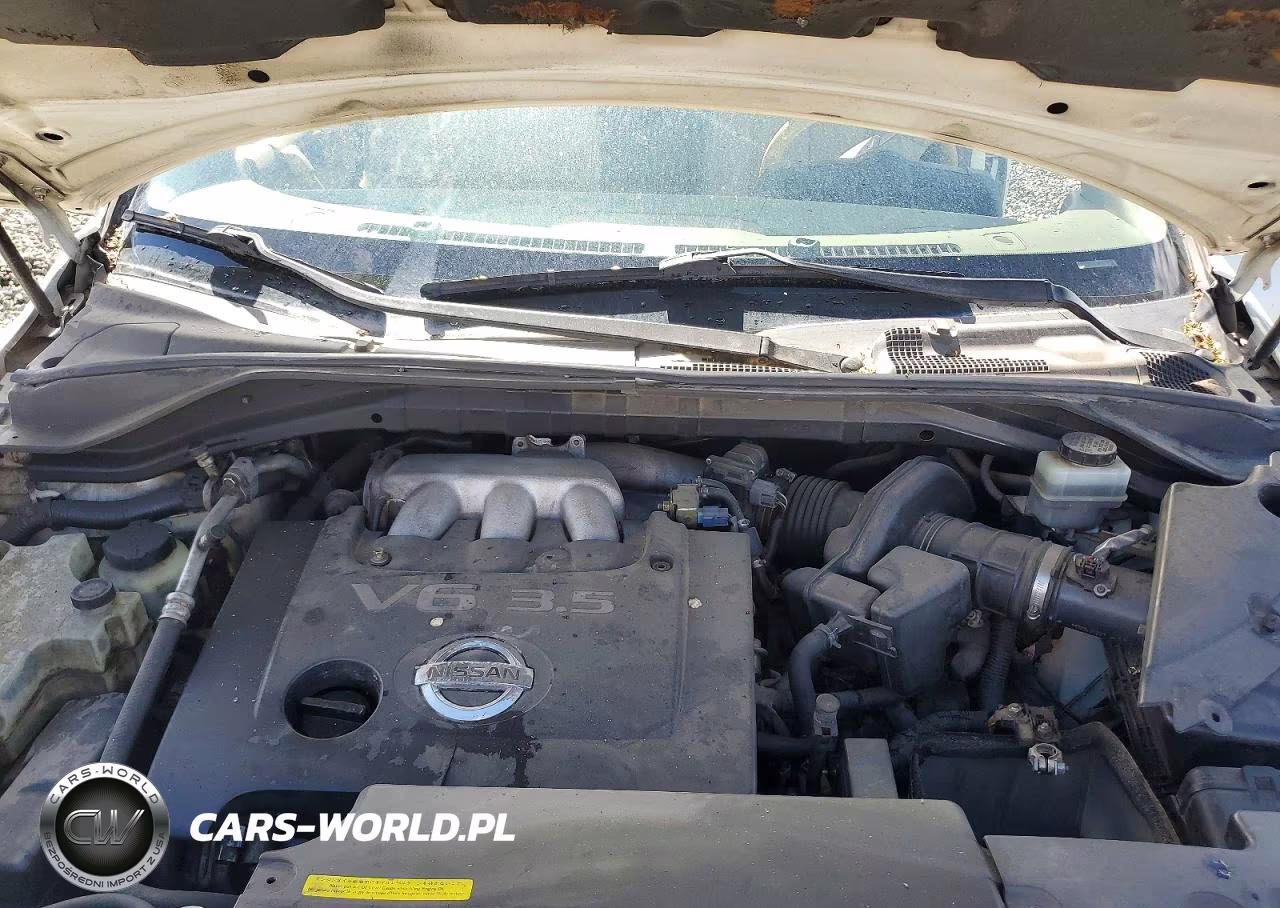 2004 Nissan Murano Sl VIN:JN8AZ08W24W301153 - 12