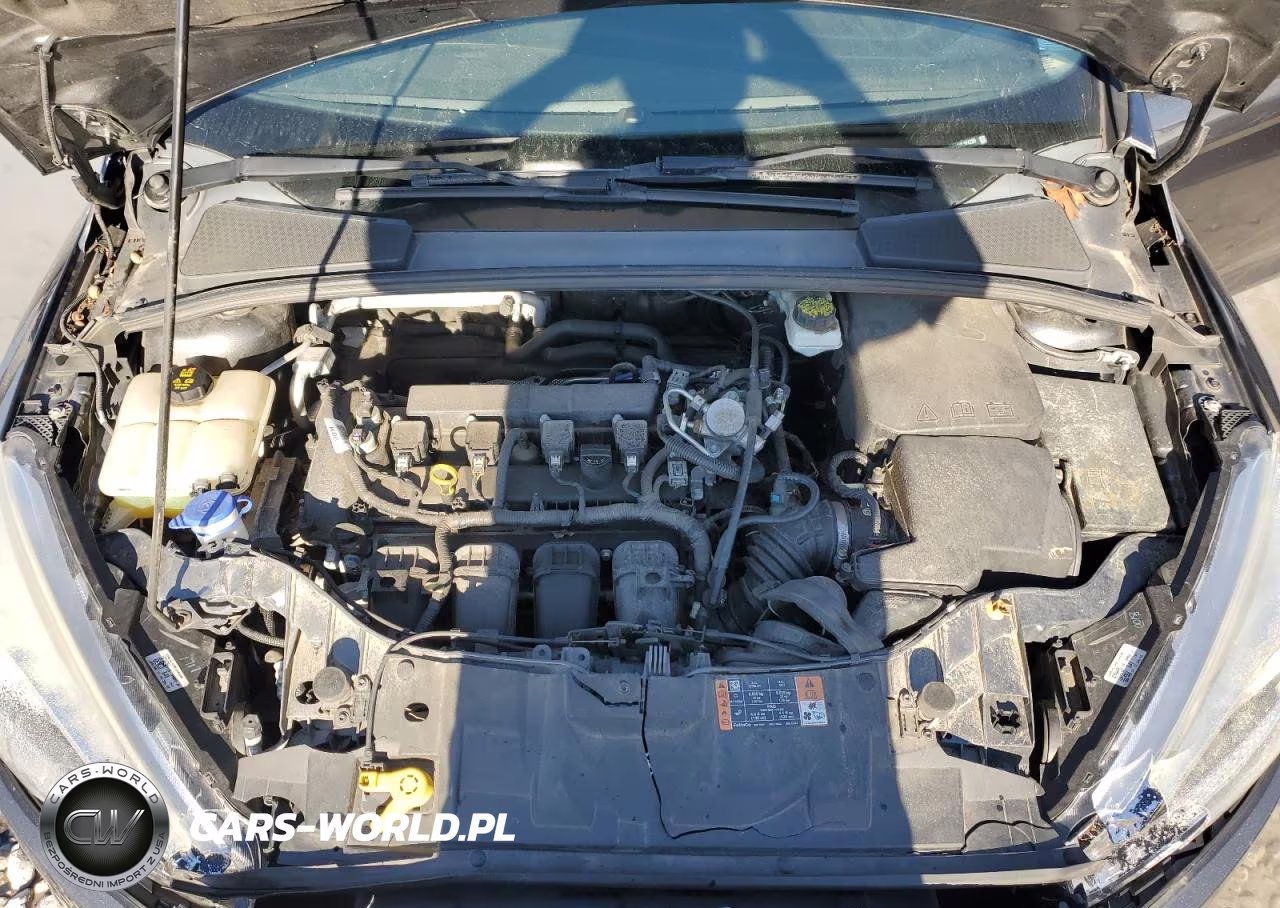 2017 Ford Focus Se VIN:1FADP3F28HL324725 - 14