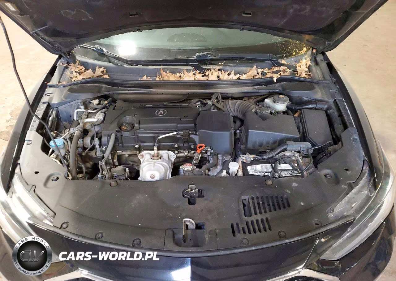 2019 Acura Ilx VIN:19UDE2F38KA002528 - 11