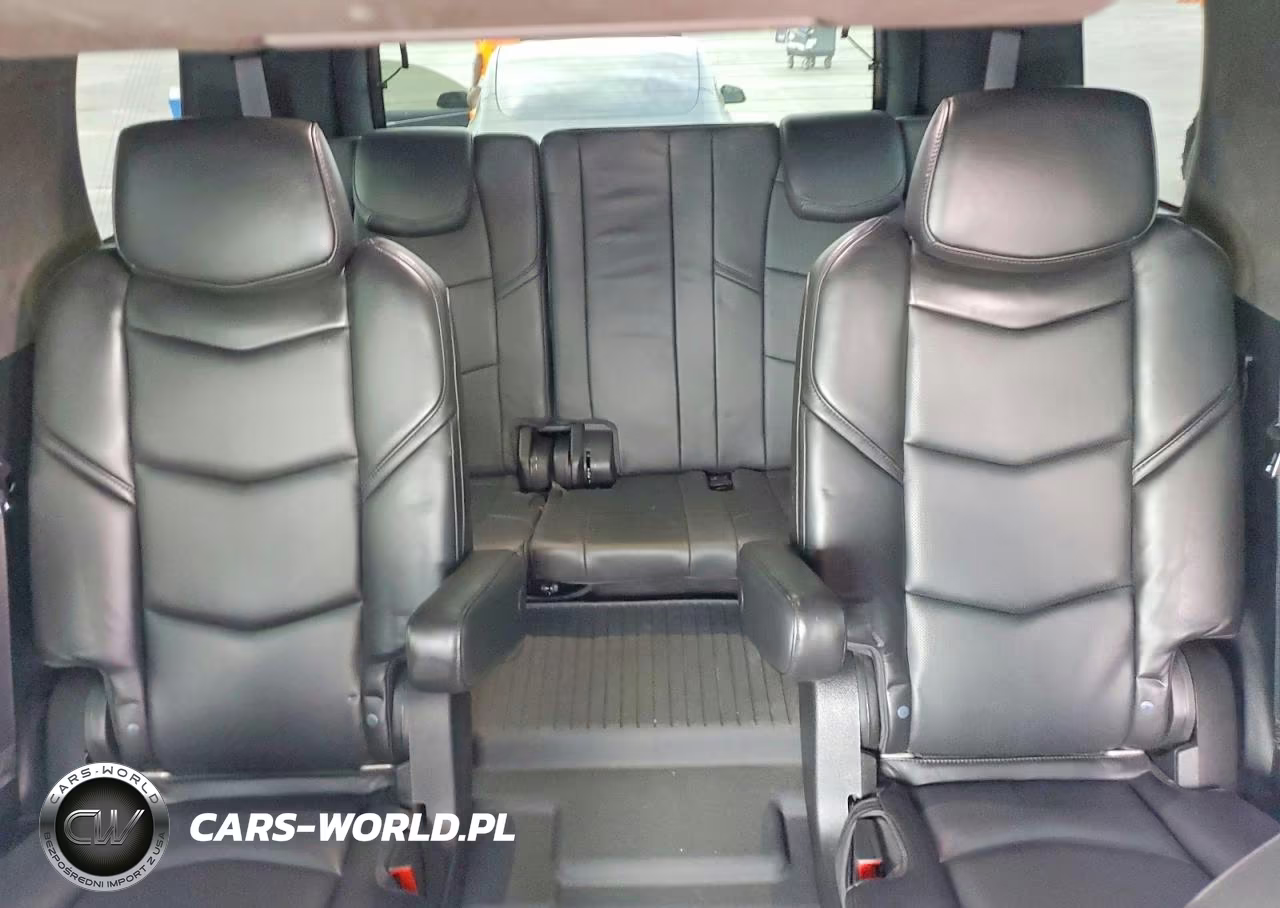 2020 Cadillac Escalade Platinum VIN:1GYS4DKJ8LR273823 - 10
