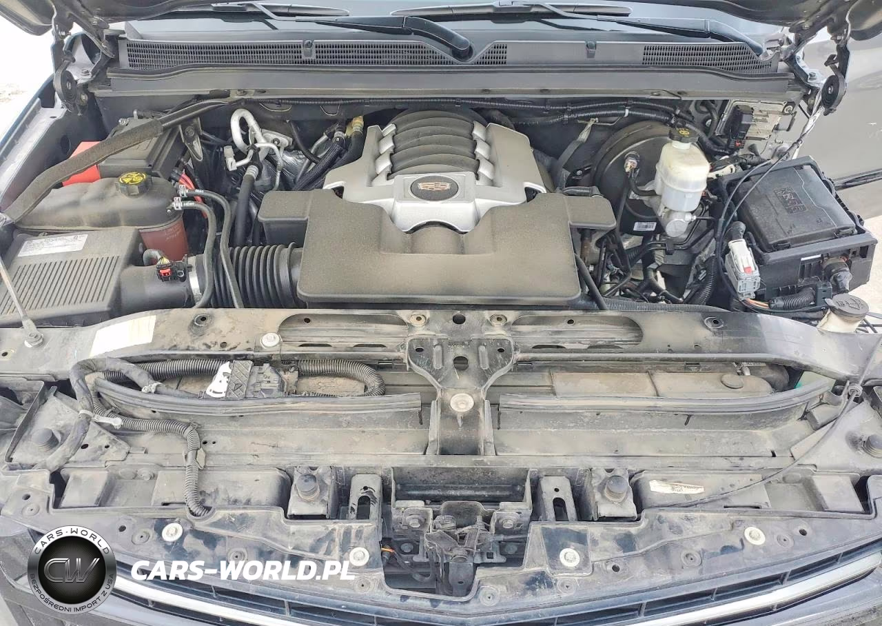 2020 Cadillac Escalade Platinum VIN:1GYS4DKJ8LR273823 - 12