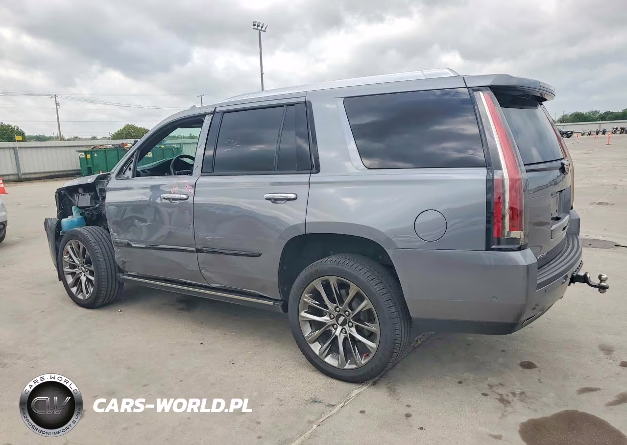 2020 Cadillac Escalade Platinum VIN:1GYS4DKJ8LR273823 - 2