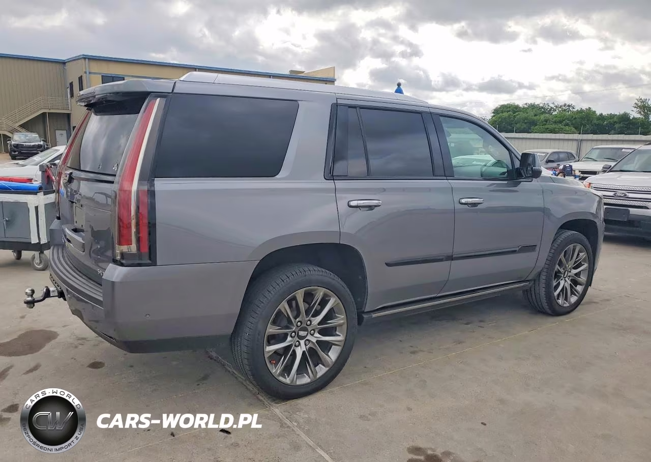 2020 Cadillac Escalade Platinum VIN:1GYS4DKJ8LR273823 - 3