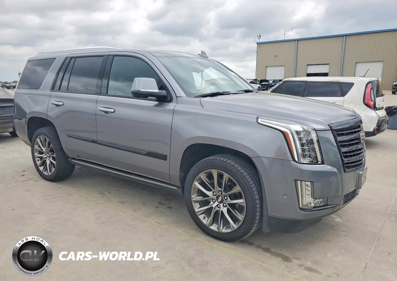 2020 Cadillac Escalade Platinum VIN:1GYS4DKJ8LR273823 - 4