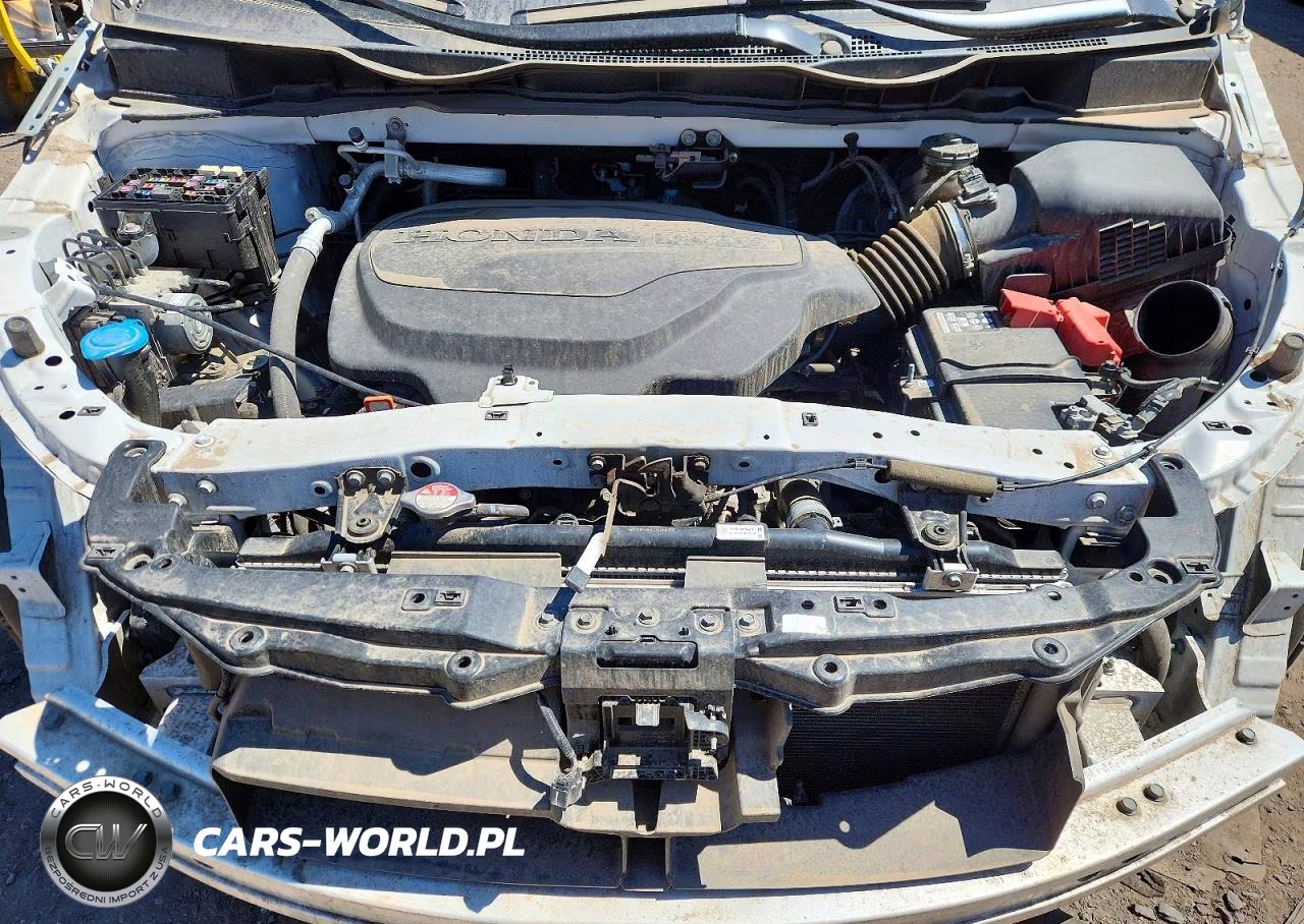 2024 Honda Odyssey Exl VIN:5FNRL6H63RB064994 - 12