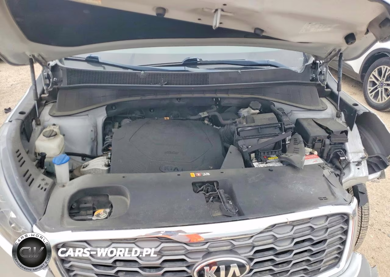 2019 Kia Sorento Ex Sport VIN:5XYPH4A50KG604069 - 12