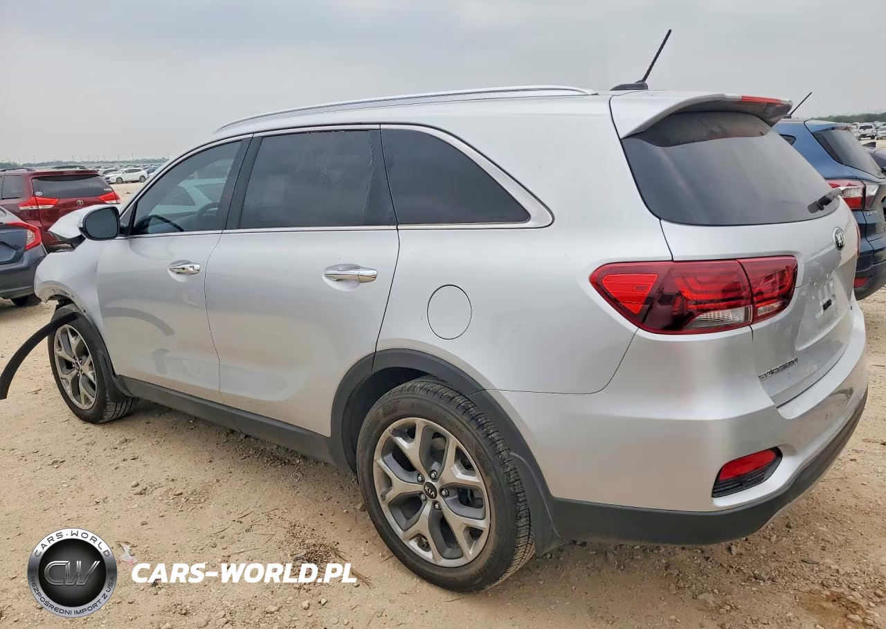 2019 Kia Sorento Ex Sport VIN:5XYPH4A50KG604069 - 2