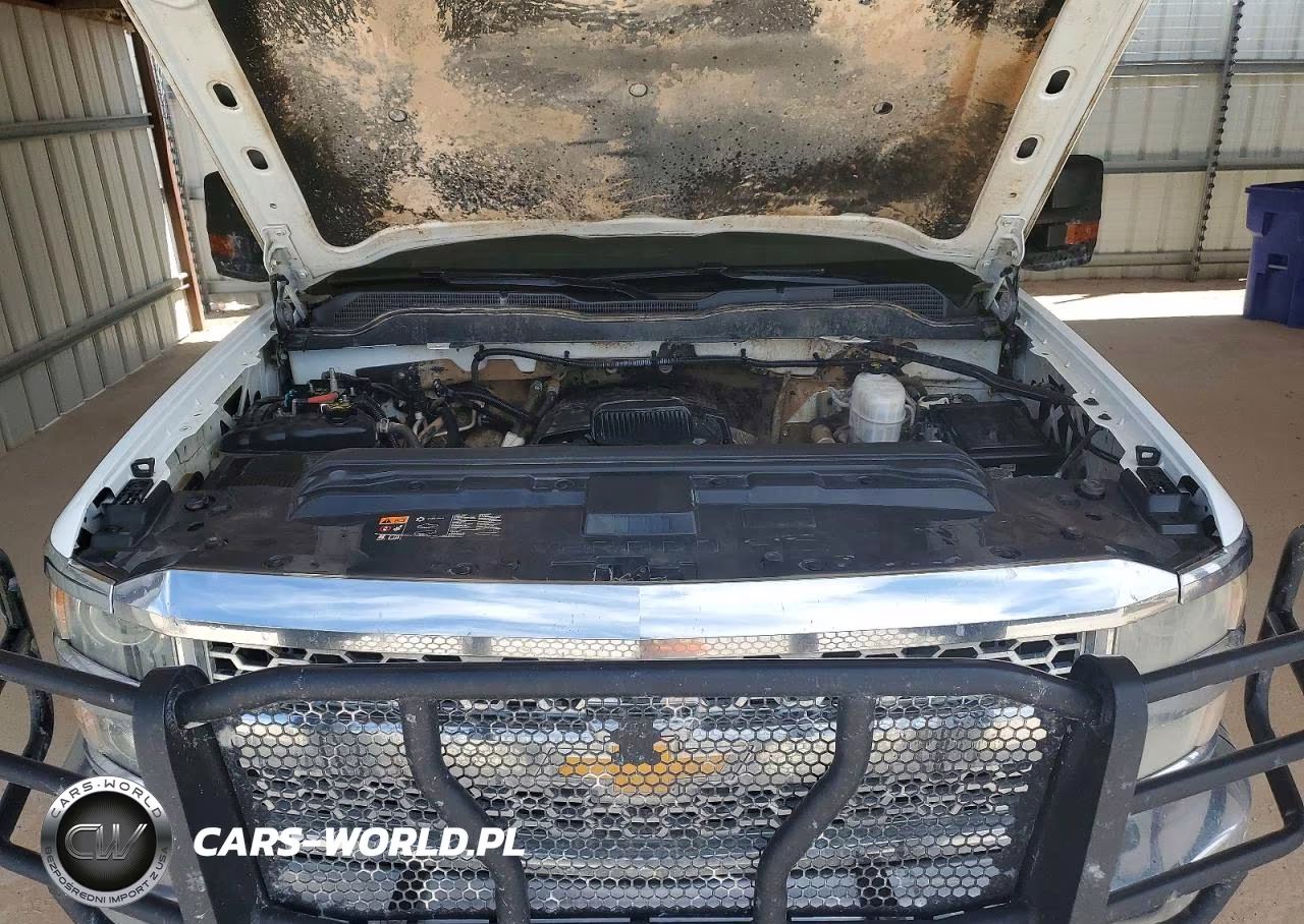 2019 Chevrolet Silverado K2500 Heavy Duty VIN:2GC2KREG9K1118892 - 11