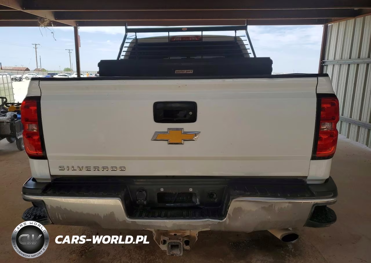 2019 Chevrolet Silverado K2500 Heavy Duty VIN:2GC2KREG9K1118892 - 6