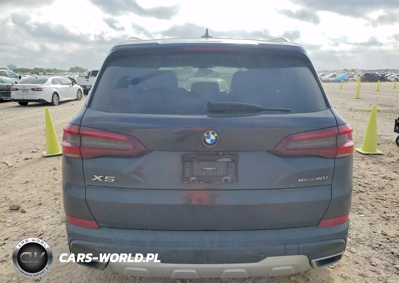 2020 BMW X5 Sdrive 40I VIN:5UXCR4C06L9C24896 - 6