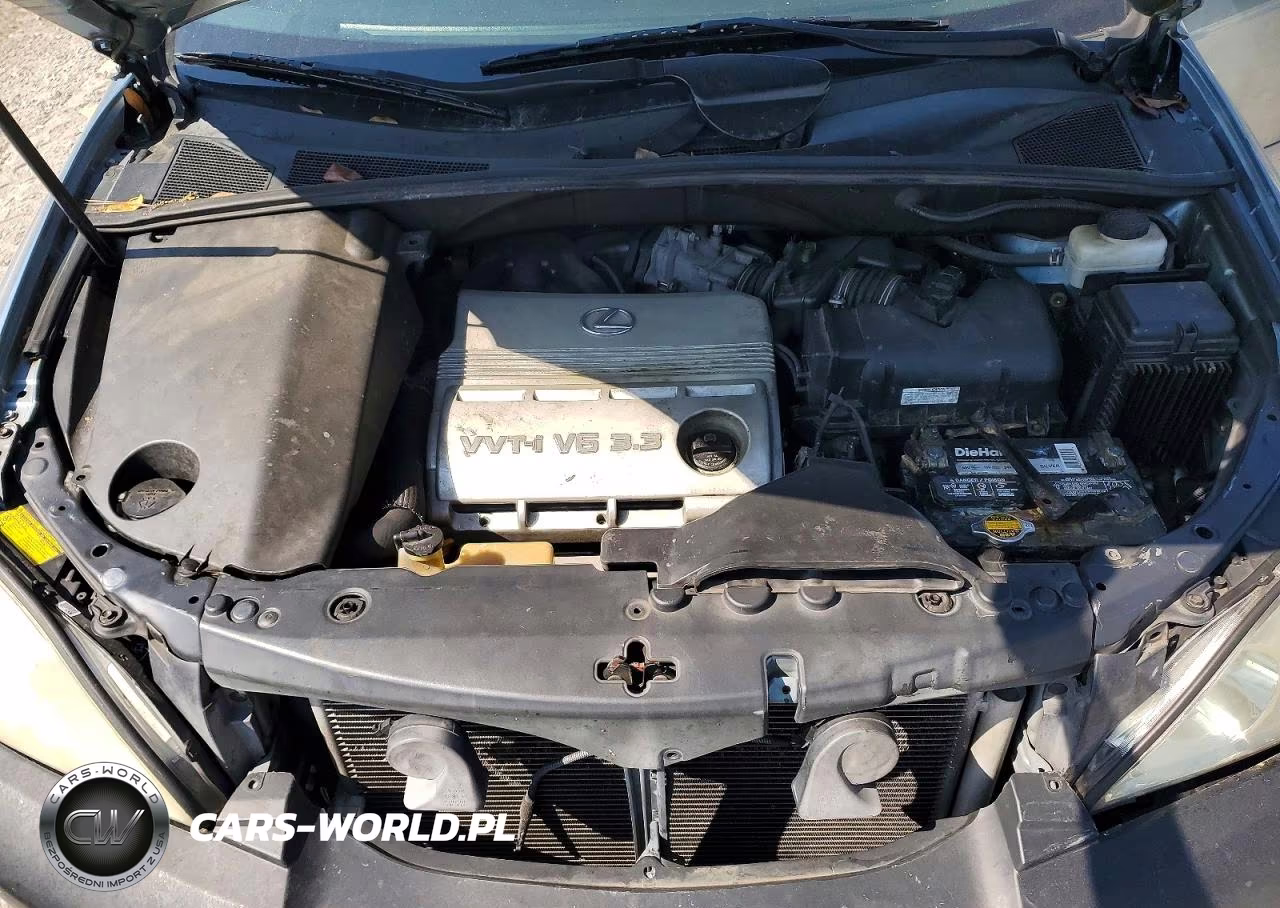 2006 Lexus Rx 330 VIN:2T2GA31U76C046319 - 12