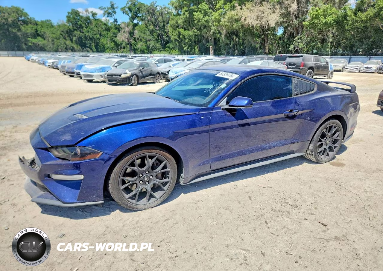 2019 Ford Mustang