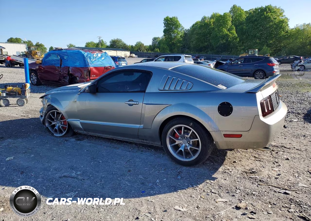 2008 Ford Mustang VIN:1ZVHT80N285191081 - 2
