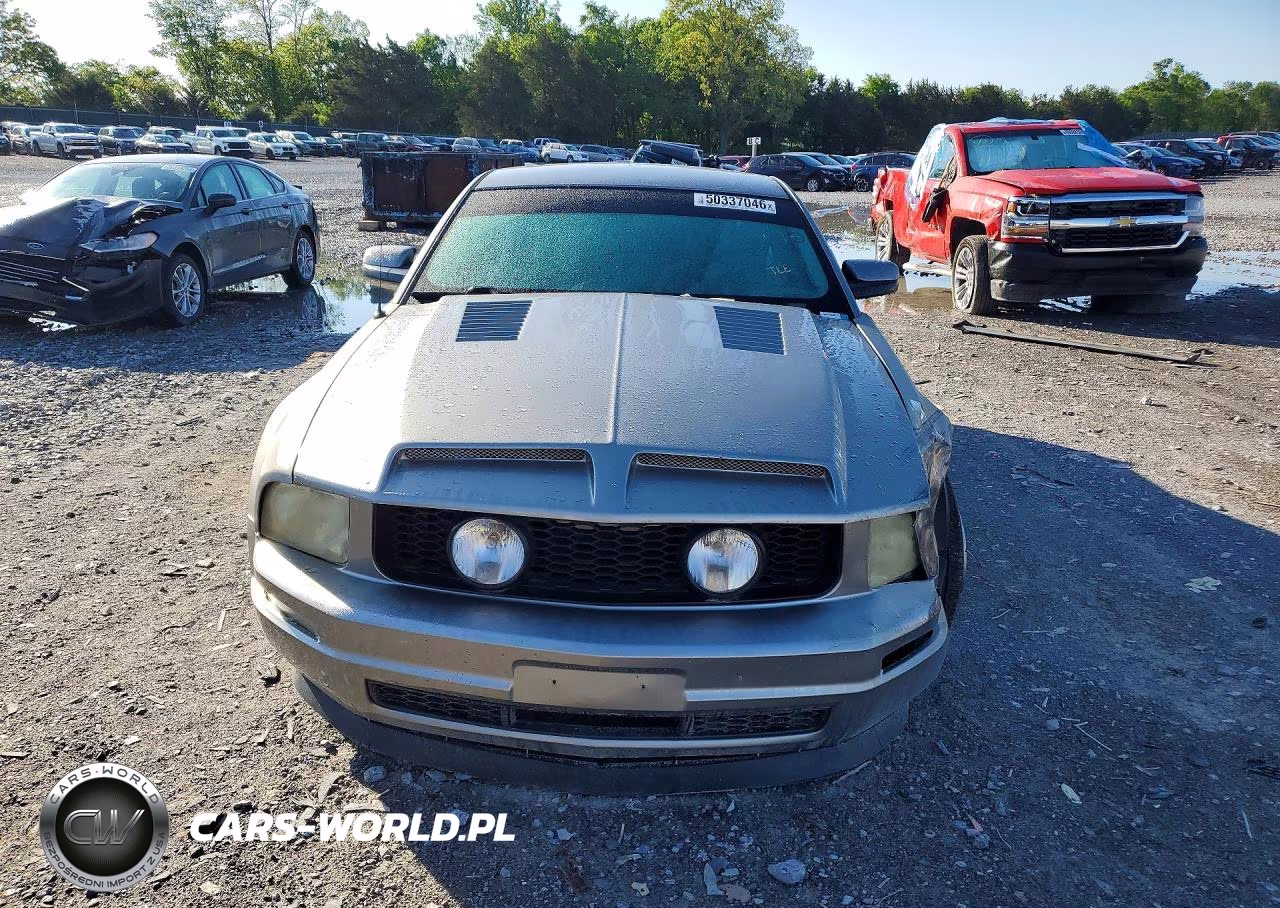 2008 Ford Mustang VIN:1ZVHT80N285191081 - 5